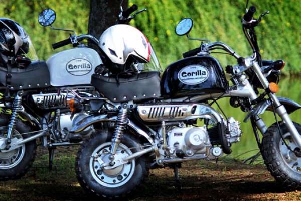 Gorilla 50cc DropBoards Band